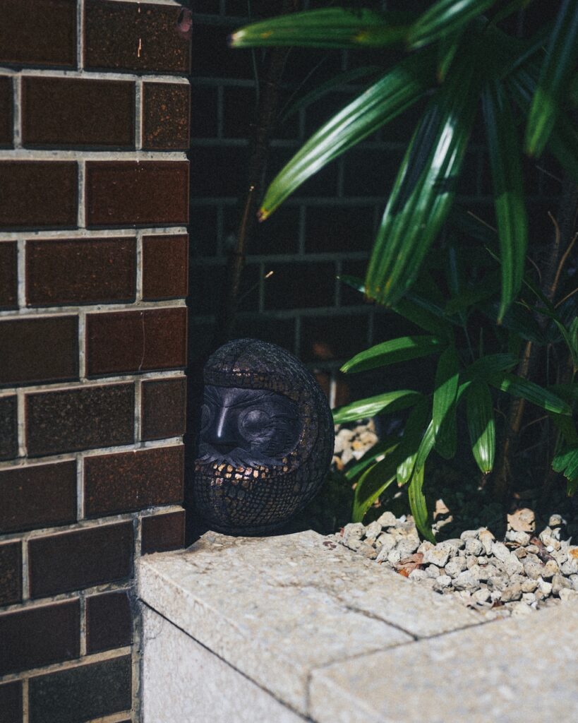 達磨 作品名 黒蛇